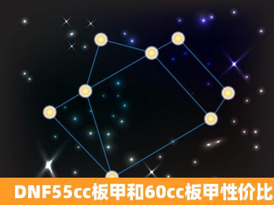 DNF55cc板甲和60cc板甲性价比