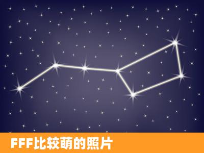 FFF比较萌的照片