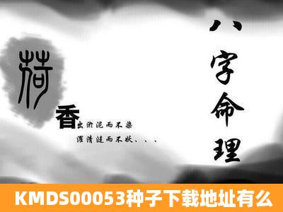 KMDS00053种子下载地址有么