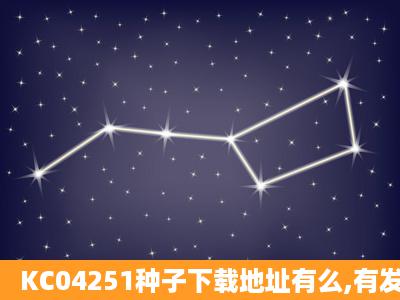 KC04251种子下载地址有么,有发必采纳