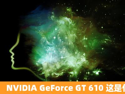 NVIDIA GeForce GT 610 这是什么显卡