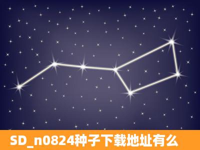 SD_n0824种子下载地址有么