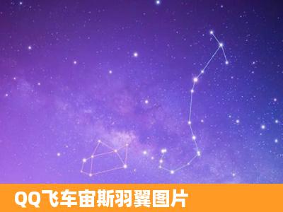 QQ飞车宙斯羽翼图片