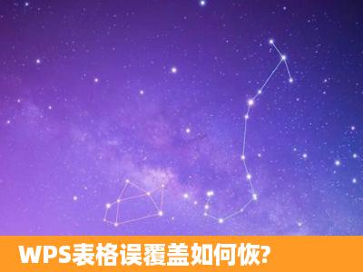 WPS表格误覆盖如何恢?