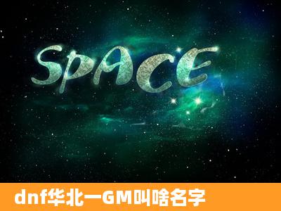 dnf华北一GM叫啥名字