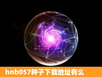 hnb057种子下载地址有么