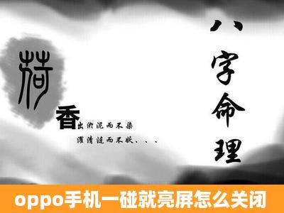 oppo手机一碰就亮屏怎么关闭