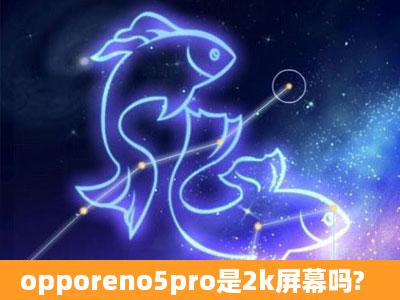 opporeno5pro是2k屏幕吗?