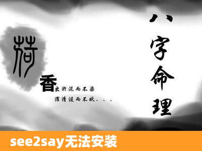 see2say无法安装