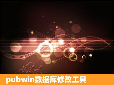 pubwin数据库修改工具