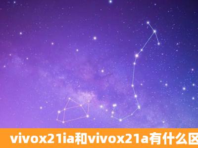 vivox21ia和vivox21a有什么区别手机壳?